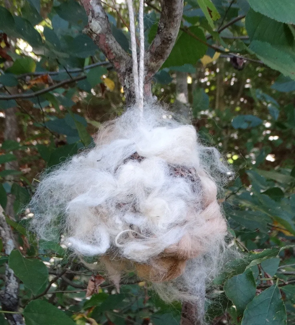 Bird Nesting Ball