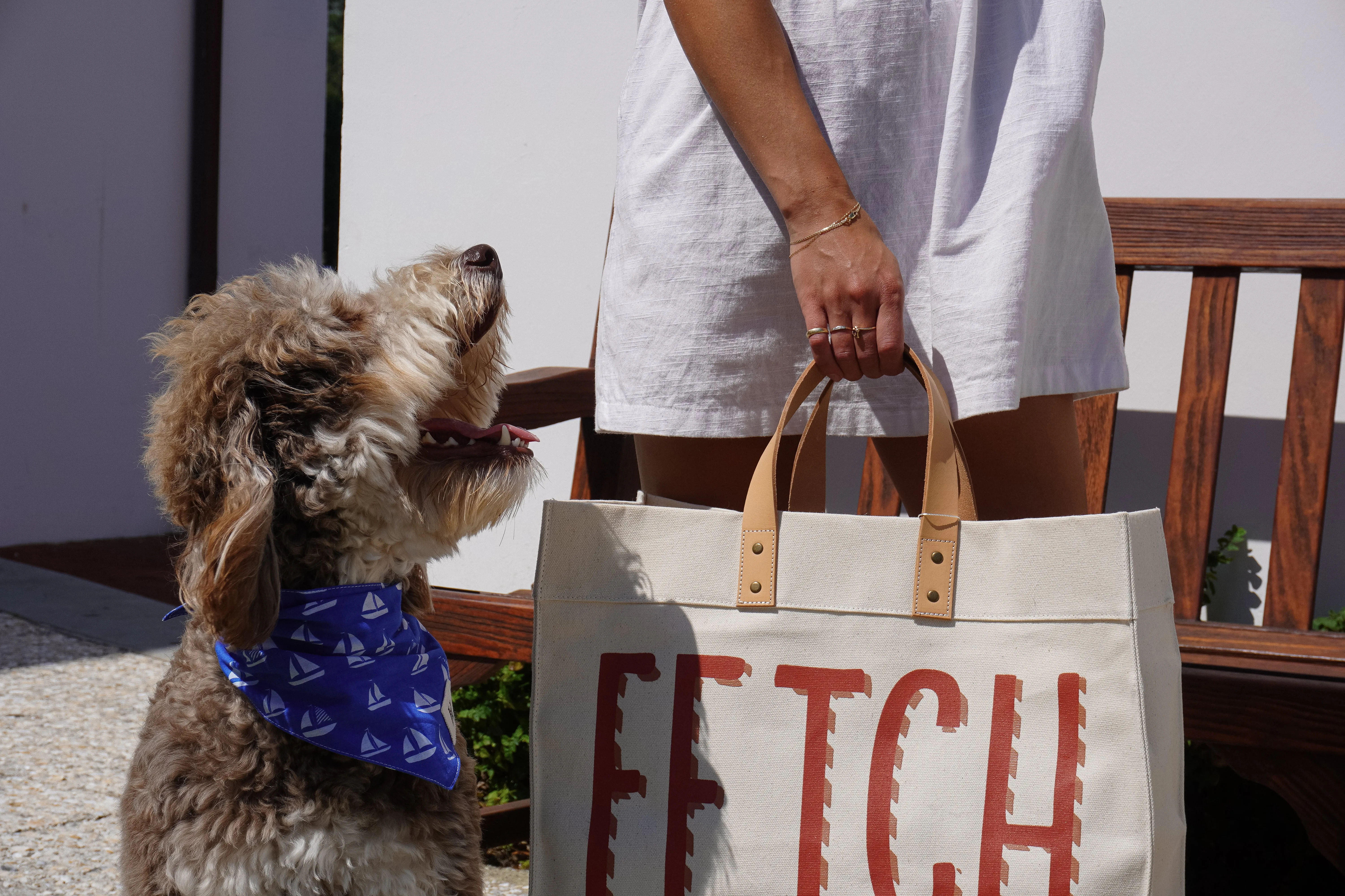 Fetch Tote