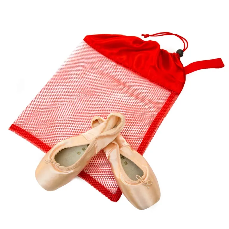 Mesh Pointe Shoe Bag- multiple colors