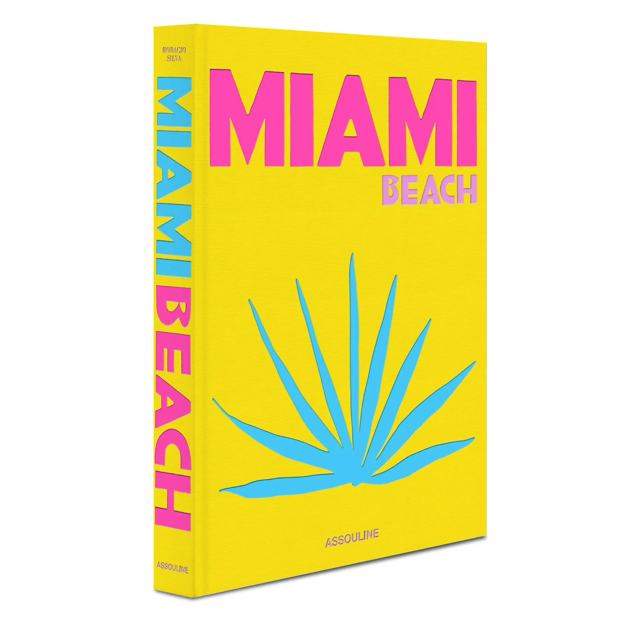 Miami Beach Travel Book