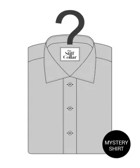 Mystery Shirt - "Half Sleeve"