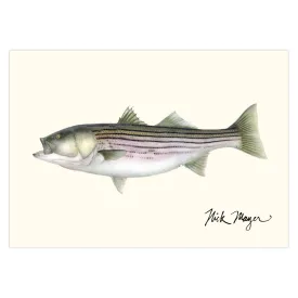 Striped Bass, 30 lbs Notecards